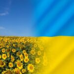 Ukraine - Sunflower - National Flag and Flower of Ukraine